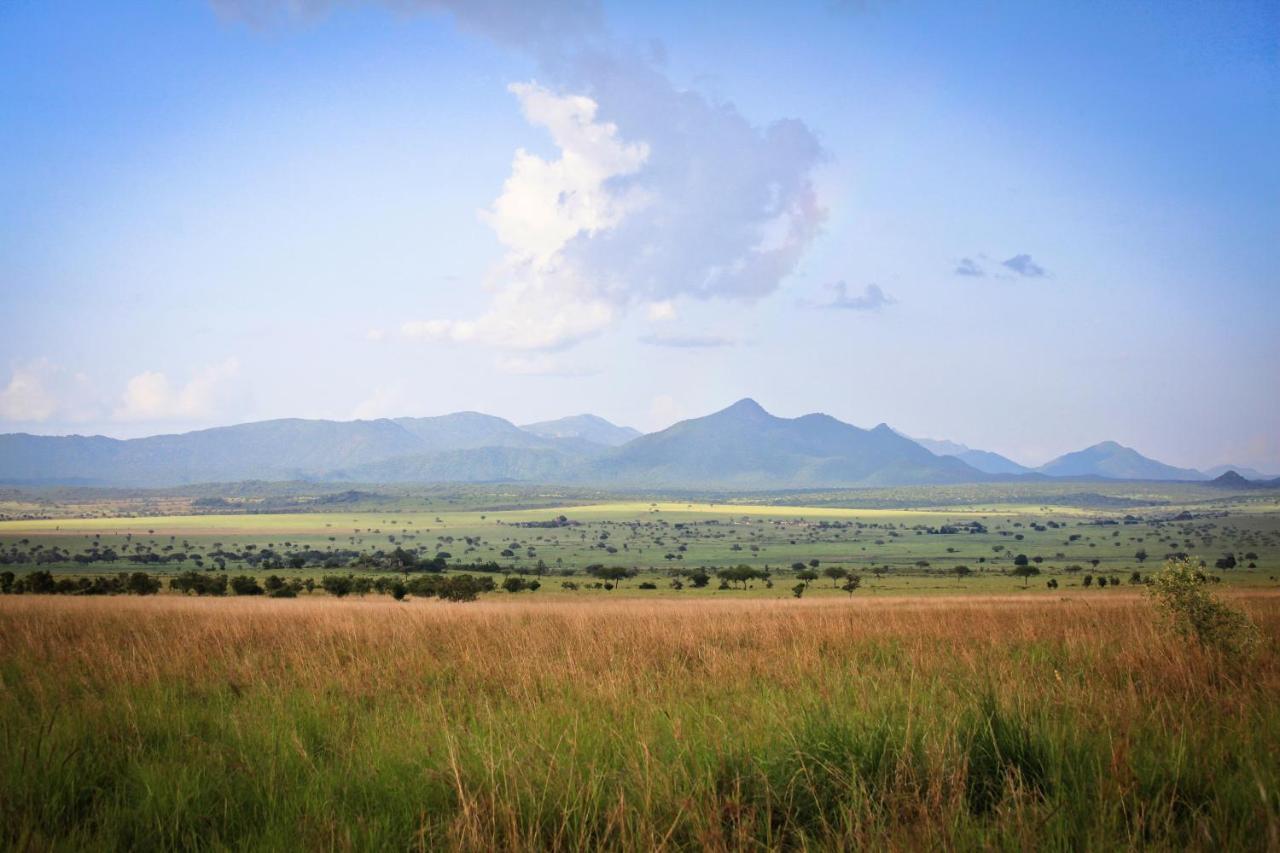 Apoka Safari Lodge Loitanit Kültér fotó